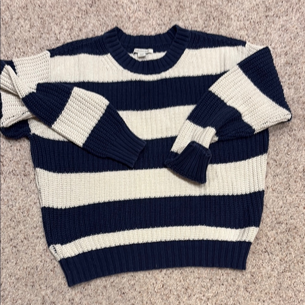 Striped Navy and White Sweater